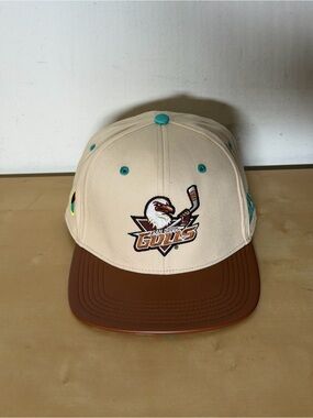 San Diego Gulls Native American Heritage Night 2026 Limited Edition SnapBack Hat
